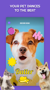 تحميل تطبيق PetStar: My Dog & Cat Sings Apk للاندرويد والايفون 2024 اخر اصدار مجانا