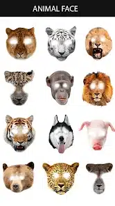 تحميل تطبيق Animal Face App للاندرويد والايفون 2024 اخر اصدار مجانا