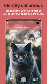تحميل تطبيق Cat Scanner: Breed Recognition مهكر للاندرويد والايفون 2024 اخر اصدار مجانا