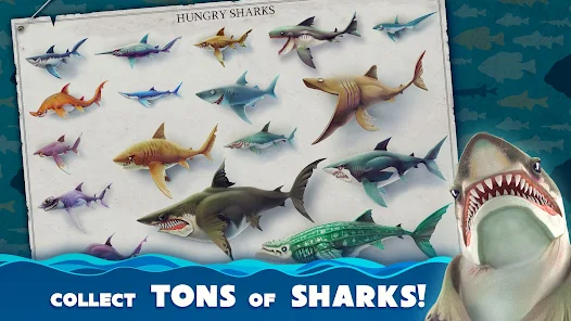 تحميل لعبة Hungry Shark World مهكرة للاندرويد والايفون 2024 اخر اصدار مجانا