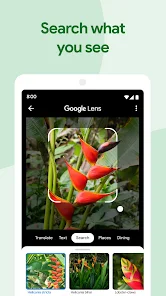 تحميل تطبيق صور جوجل Google Photos للاندرويد والايفون 2024 اخر اصدار مجانا